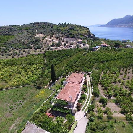 شقة Το Είδωλον Epidaurus المظهر الخارجي الصورة