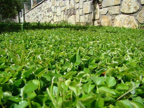 شقة Το Είδωλον Epidaurus المظهر الخارجي الصورة